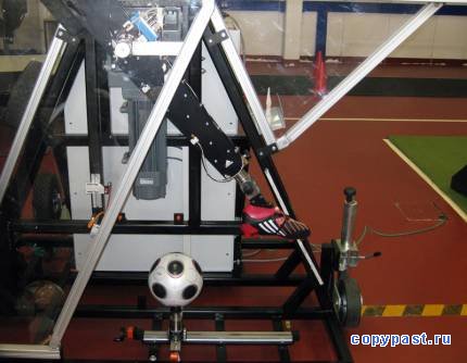 История футбольного мяча (27 фото)